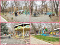 /album/trend/099-playground-equipment-free-is-bustling-while-the-paid-is-deserted-jpg/